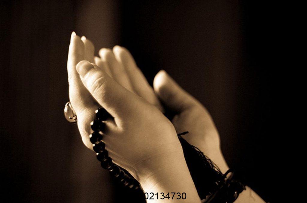 دعانویس در املش