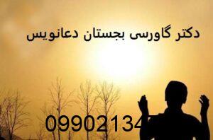 دکتر گاورسی بجستان دعانویس