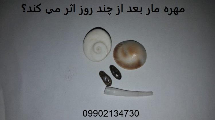 مهره مار بعد از چند روز اثر می کند؟